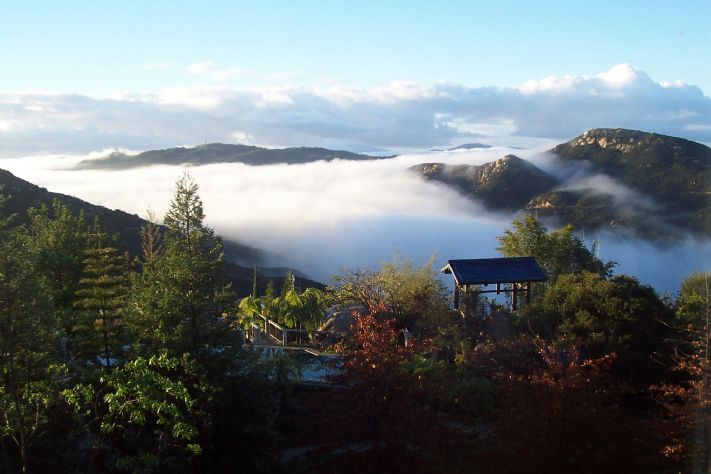 Morning view to west from house